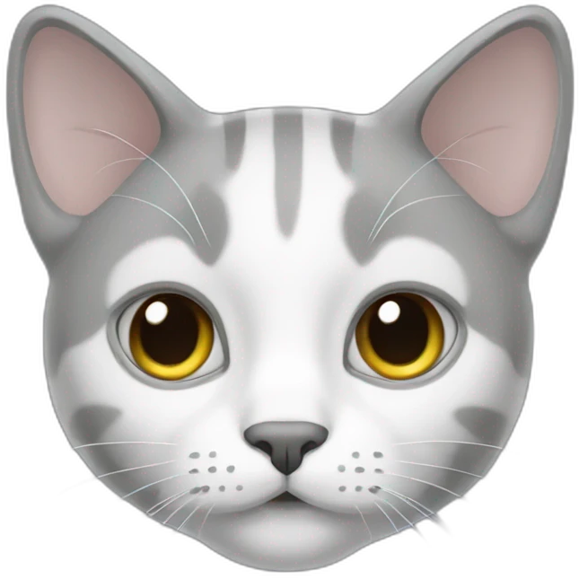 Cat grey with white ligne face emoji