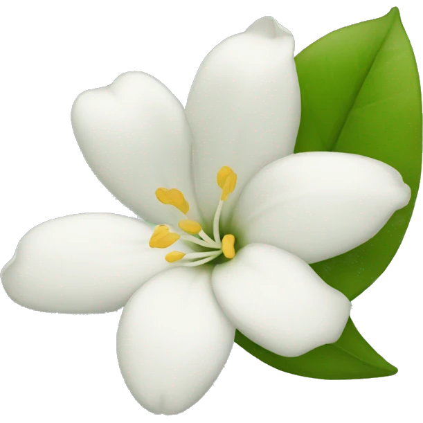 Night Jasmine flower emoji