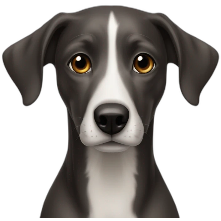Son of greyhound and retriever emoji