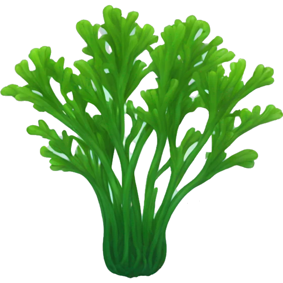 seaweed emoji