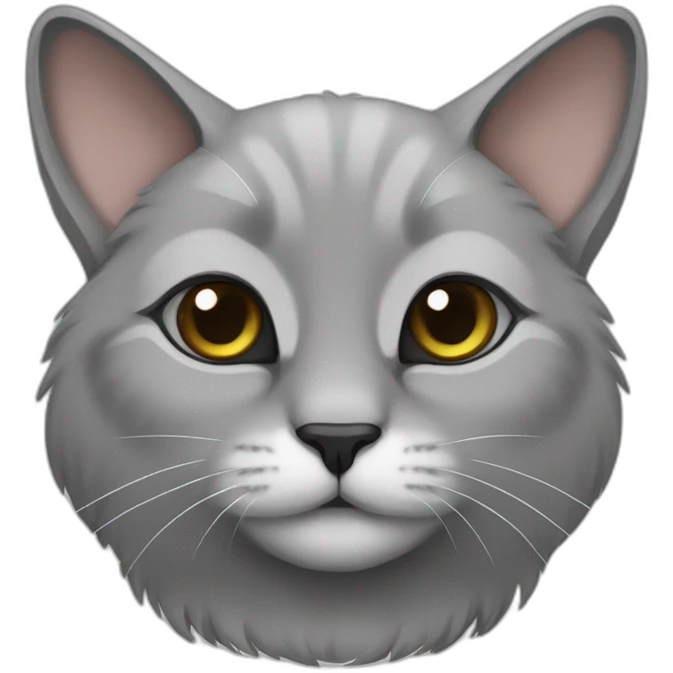 Grey lop-eared cat emoji