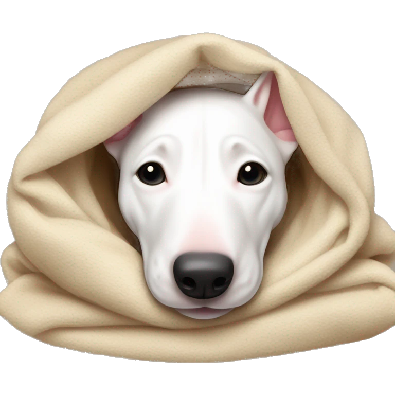 Bull terrier lying down cozy in blanket  emoji