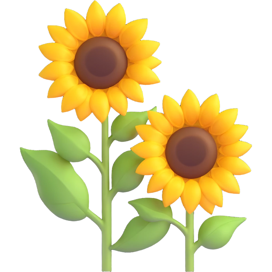 Two sunflowers with a sun in the background, in 3D iOS style, using the same colors as the reference image. emoji