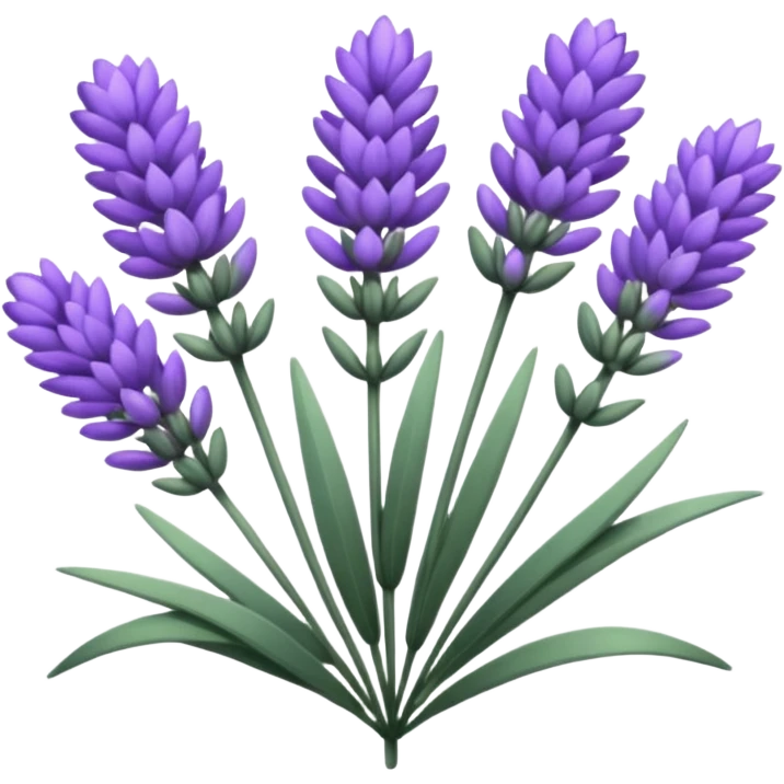 Lavender  emoji