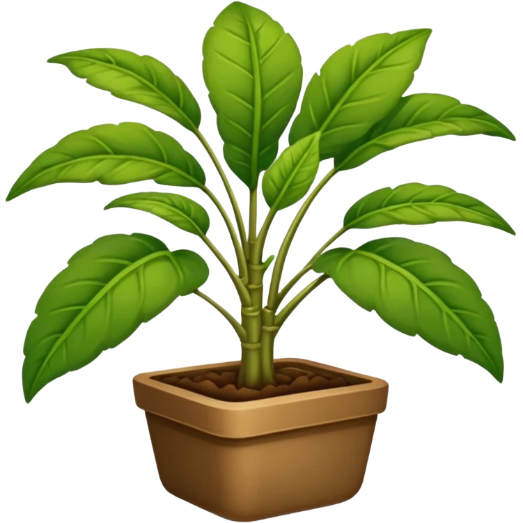 plantas abundantes tipo helecho en macetas rectangulares color café emoji