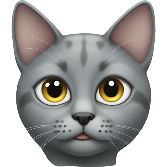 One-eyed gray cat emoji
