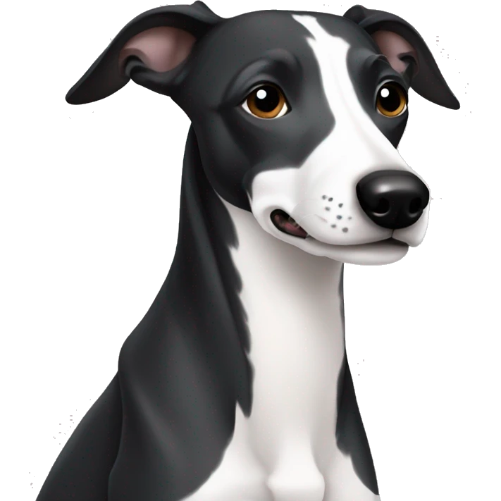 black and white whippet one white ear emoji