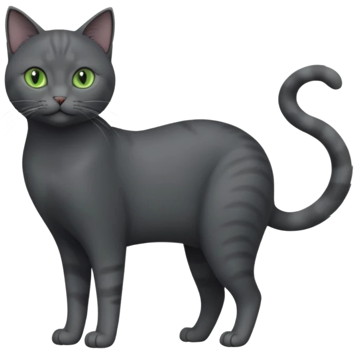 full body view of beautiful female solid dark grey cat with green eyes, grey face, white toes/paws and small white patch on her chest emoji