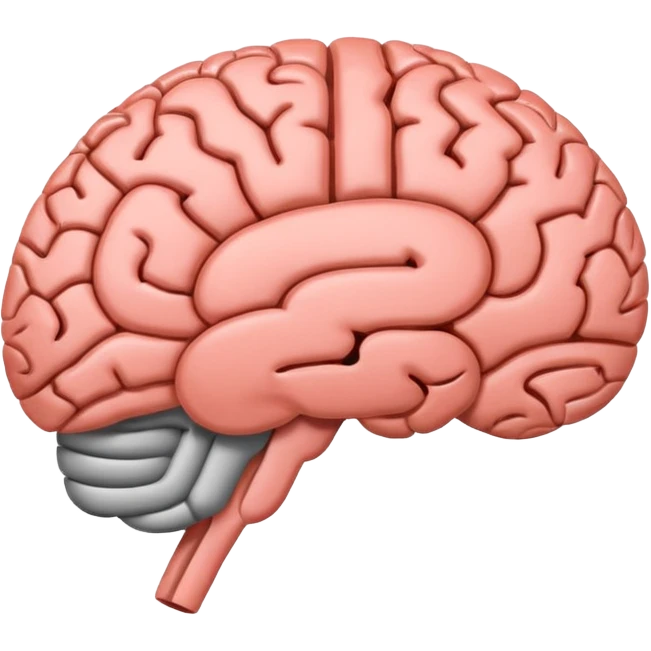 A simple emoji of a human brain with a horizontal loading bar underneath, partially filled, flat emoji style, bold outline, minimal details emoji