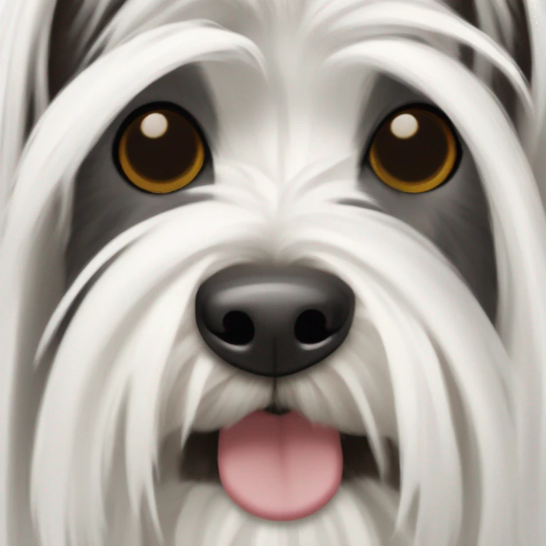 Skye terrier dog with dark fur around mouth and white fur everywhere else emoji