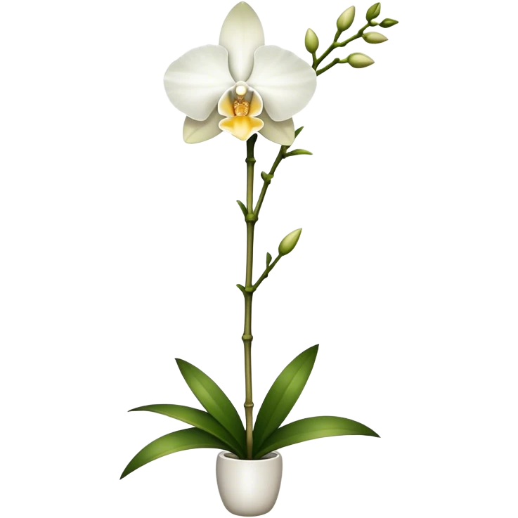single white Dendrobium Orchid straight stem emoji