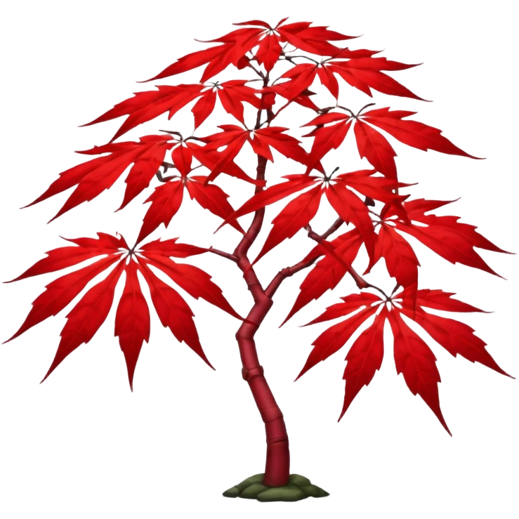 japanese maple emoji