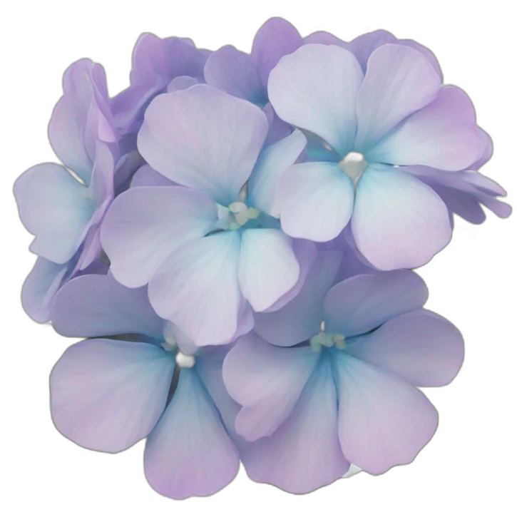 Hortensias emoji