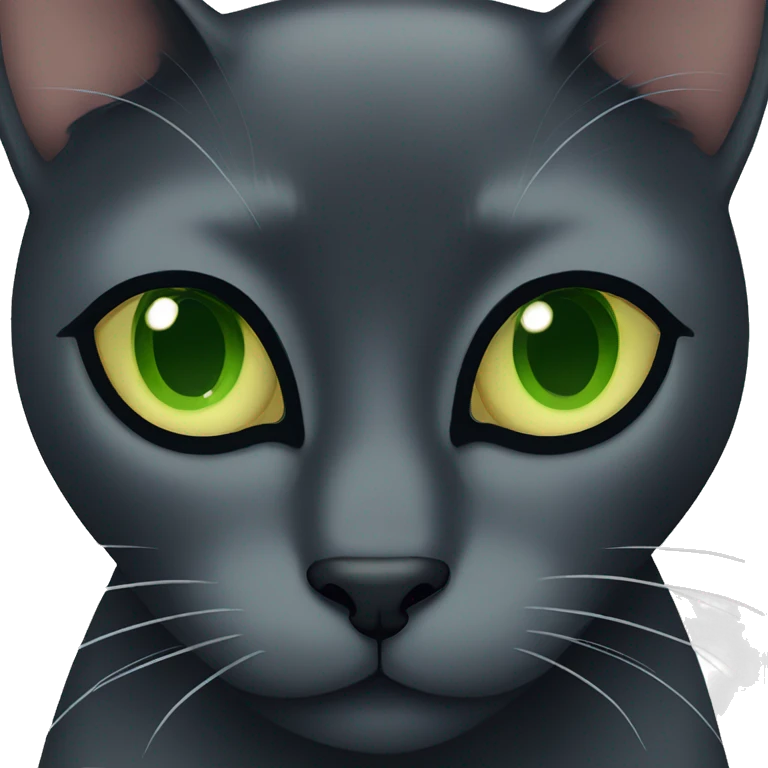 Black cat with greenish eyes emoji