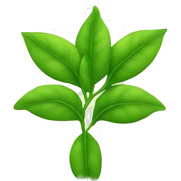 GREEN TEA LEAVES emoji