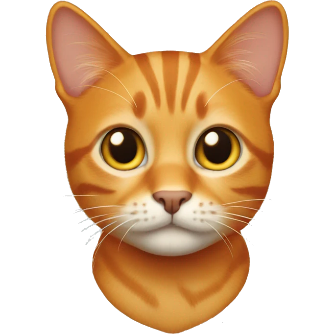 Orange tabby emoji