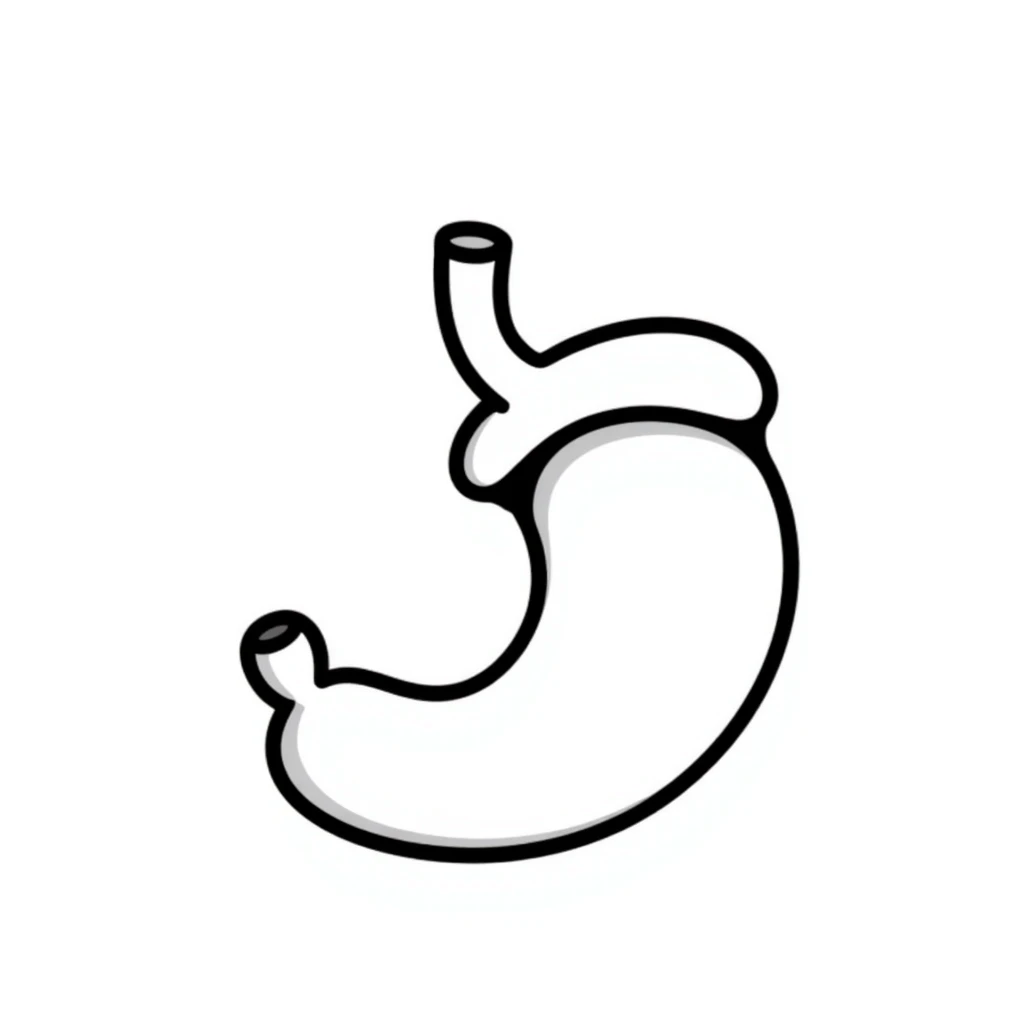 hand-drawn doodle of an empty stomach with clear lines emoji