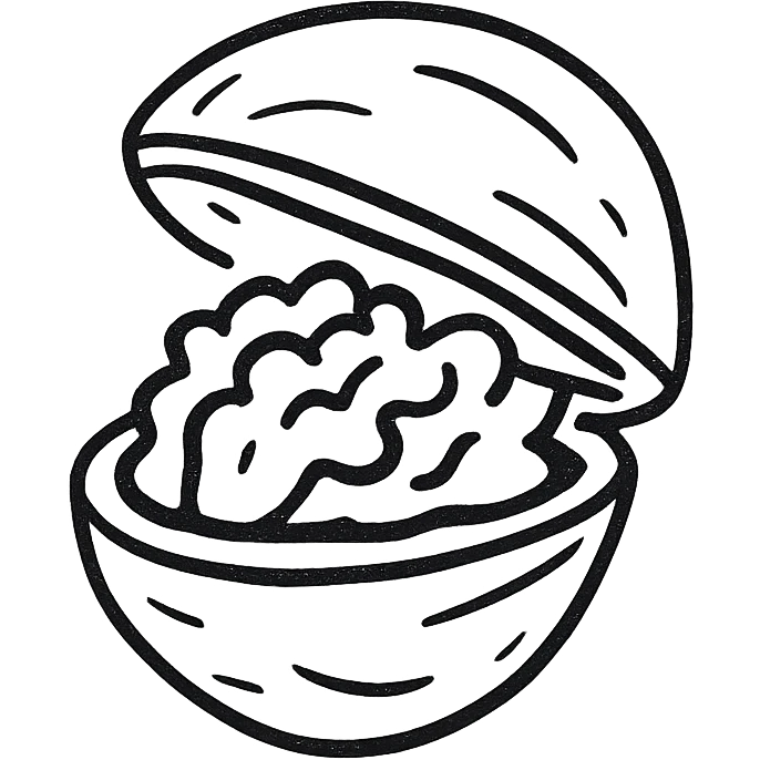a walnut cracked open showing the inside, minimal style, hand drawn, simple lines emoji