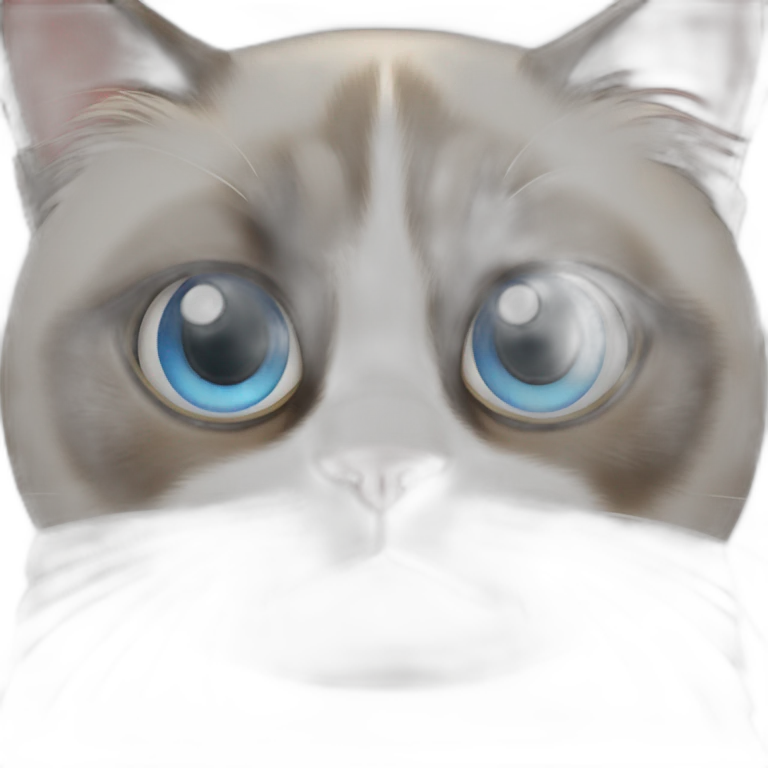 Grumpy cat blue eyes emoji