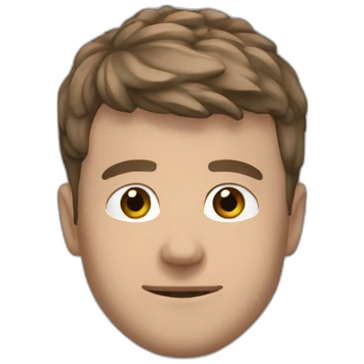 Nicolò Barella emoji
