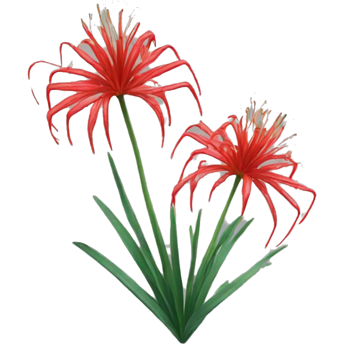 Red spider lily emoji