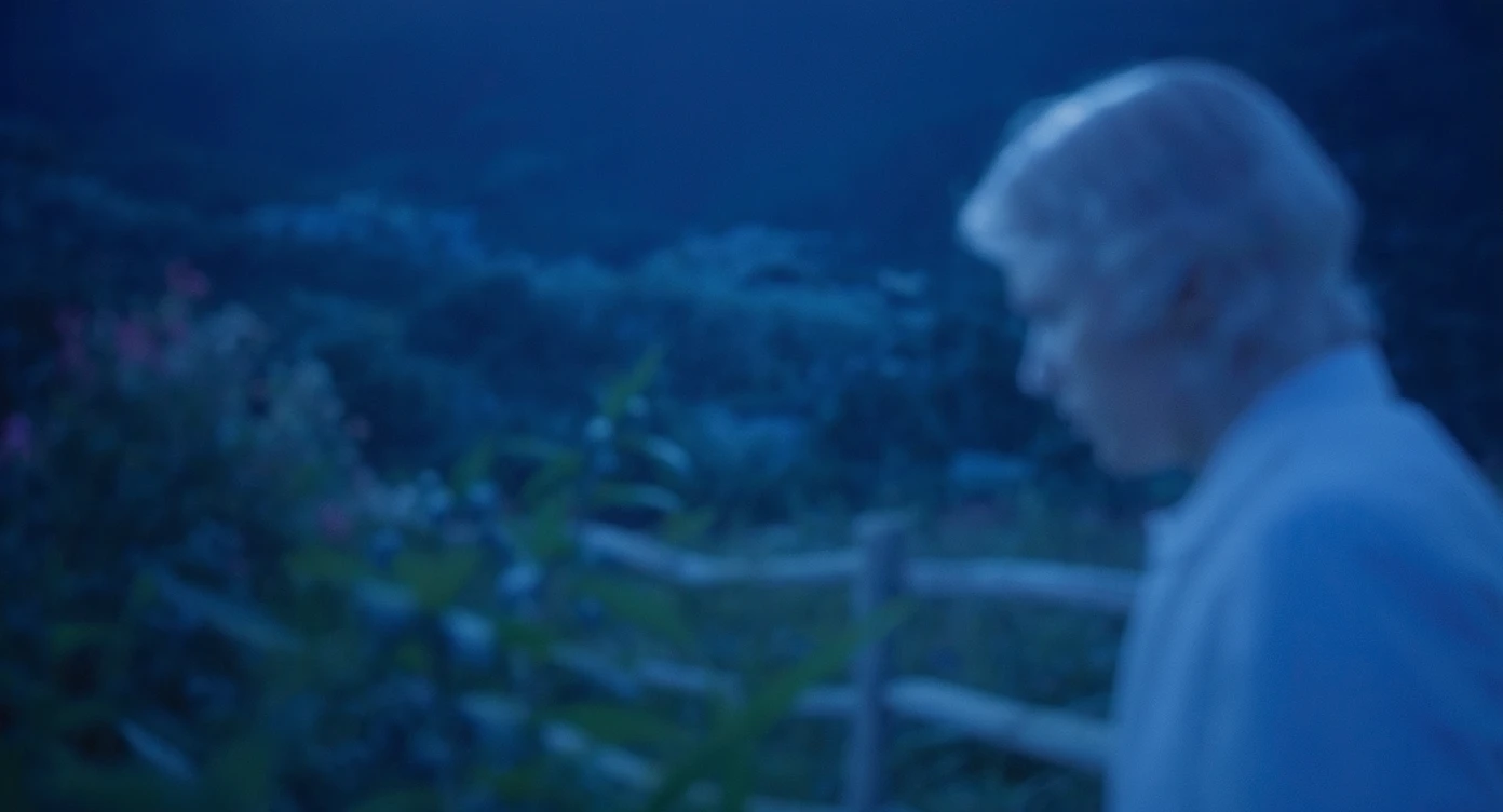 A portrait of a white person in the foreground, blurred plants in the foreground, a wooden fence and colorfull flowers in the midground, rolling hills in the background, cinematic depth of field, layered composition, moon back light (Blue night) emoji