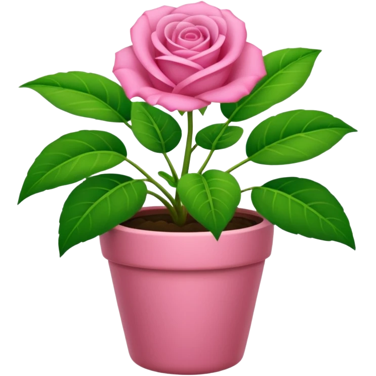 Una planta bonita, con su masetá color rosa emoji