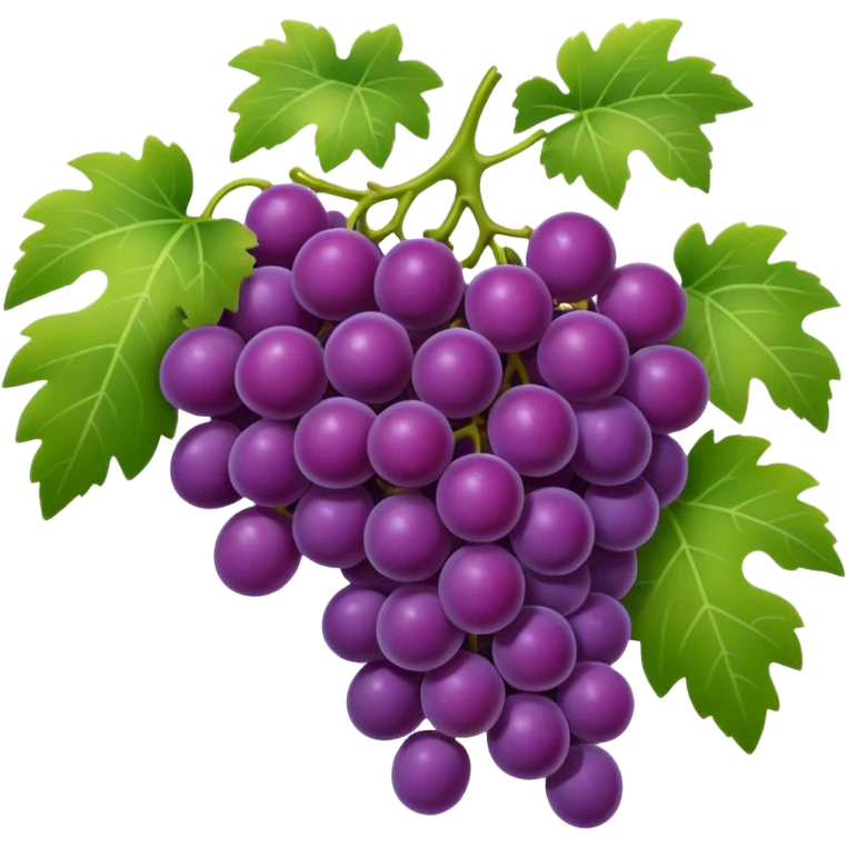 An emoji of a cluster of grapes on a vine, representing winemaking in ancient Rome. emoji