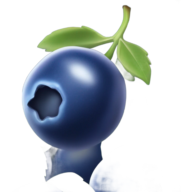 Blueberries  emoji