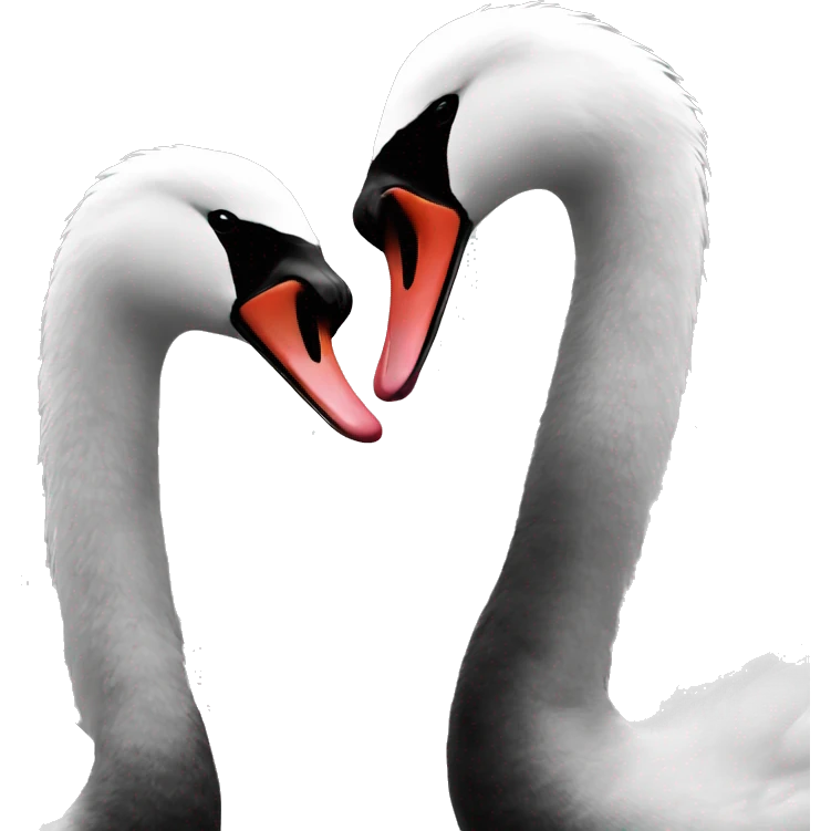 black and white swans kissing emoji