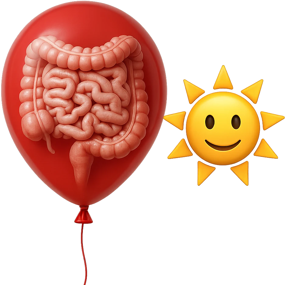 intestino umano anatomico chiuso in un palloncino rosso che simboleggia gonfiore, accanto un simbolo di sole stile emoji iphone che simboleggia "gonfiori di mattina", iperrealistico 4k emoji