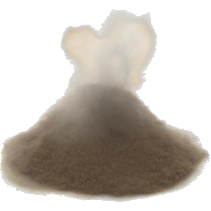 dust under the carpet emoji