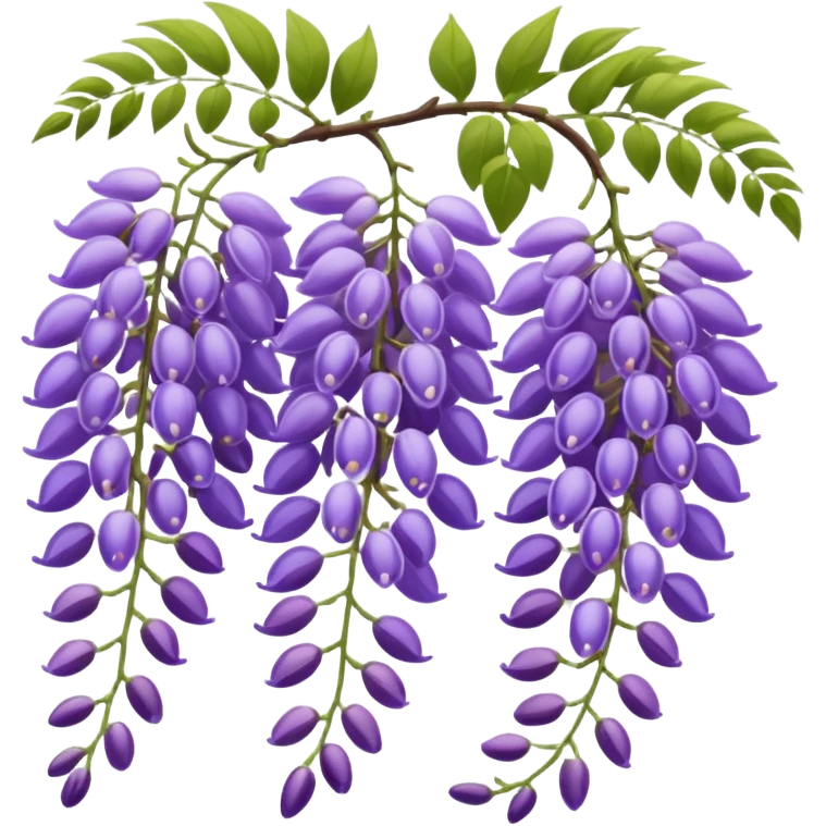 wisteria emoji