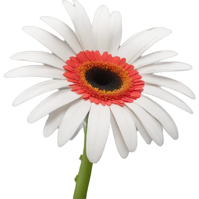 gerbera daisy emoji