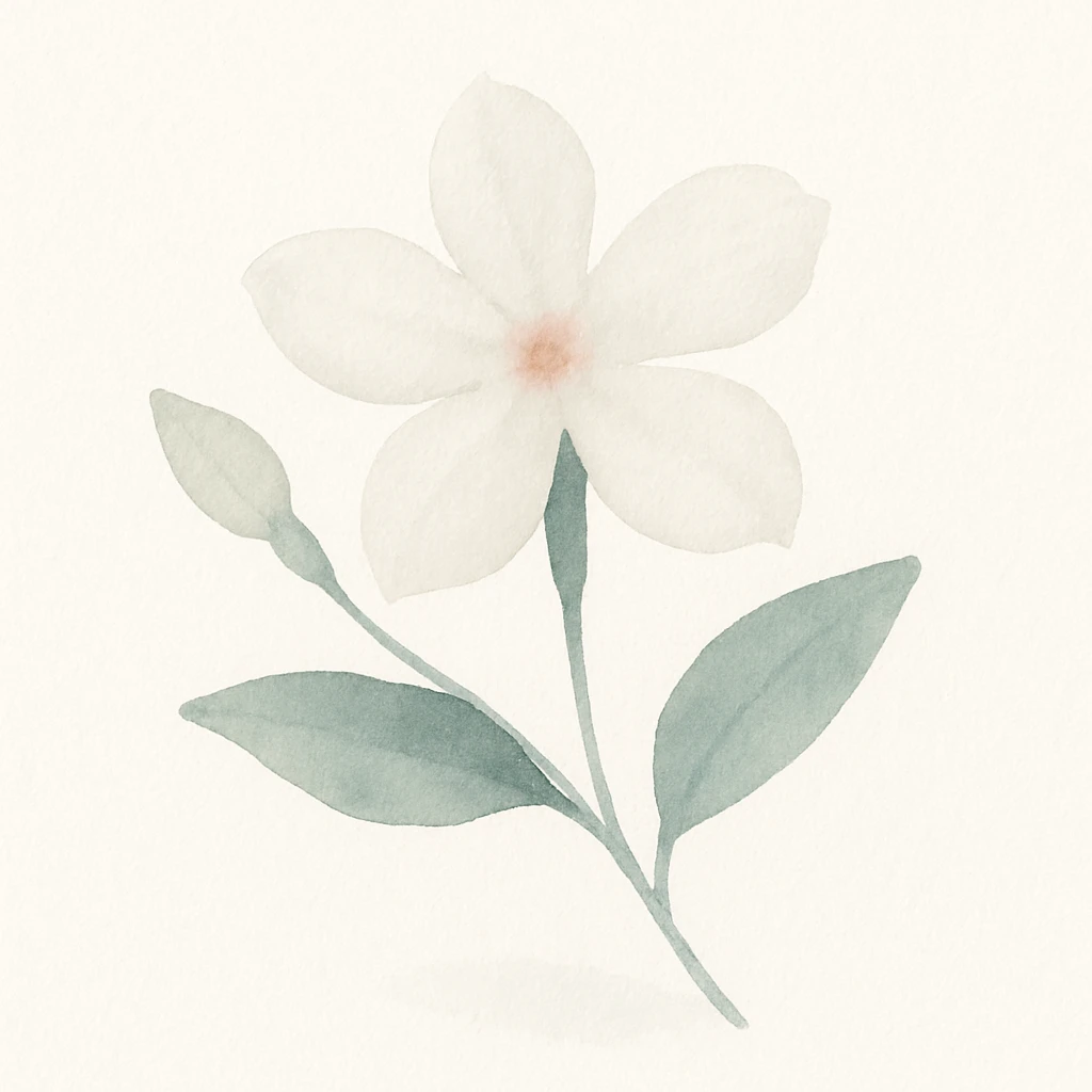 syrian jasmine flower, stylized, soft watercolor effect emoji