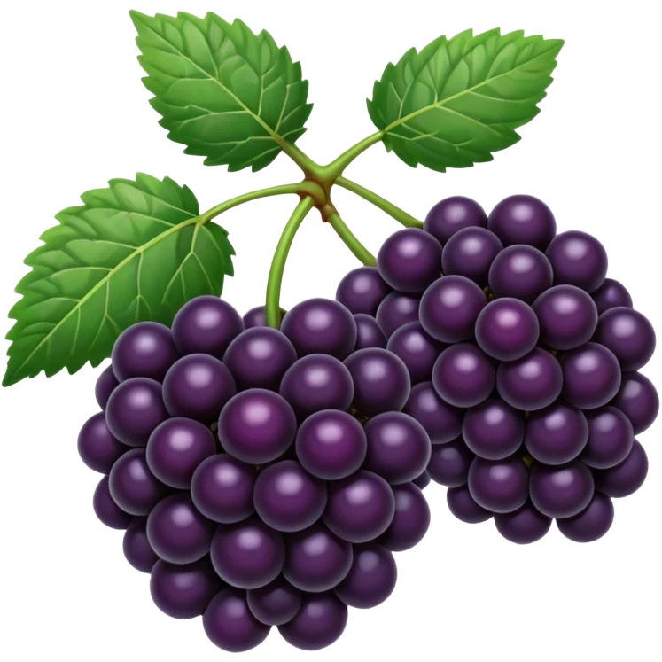 blackberries emoji
