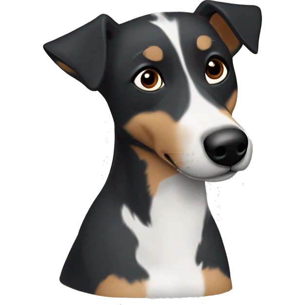 blue heeler mix dog with brown eyes and floppy flopped ears brown cheeks and brown dot eyebrows and black with white snout, chest and up theface emoji