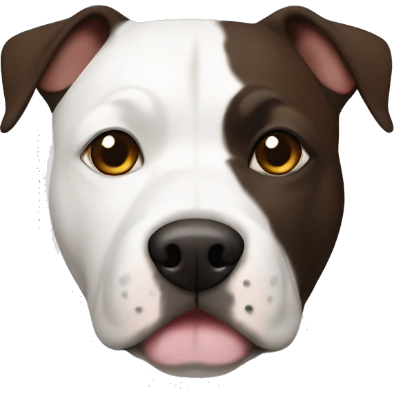 White and dark brown Staffie with patch over one side of the face  emoji