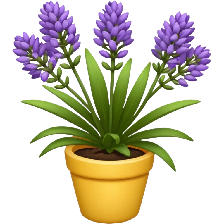 Lavanda emoji