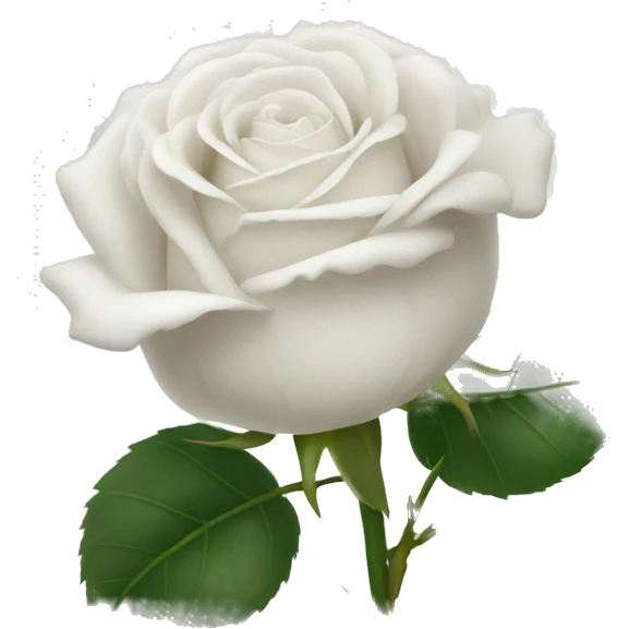 White rose emoji