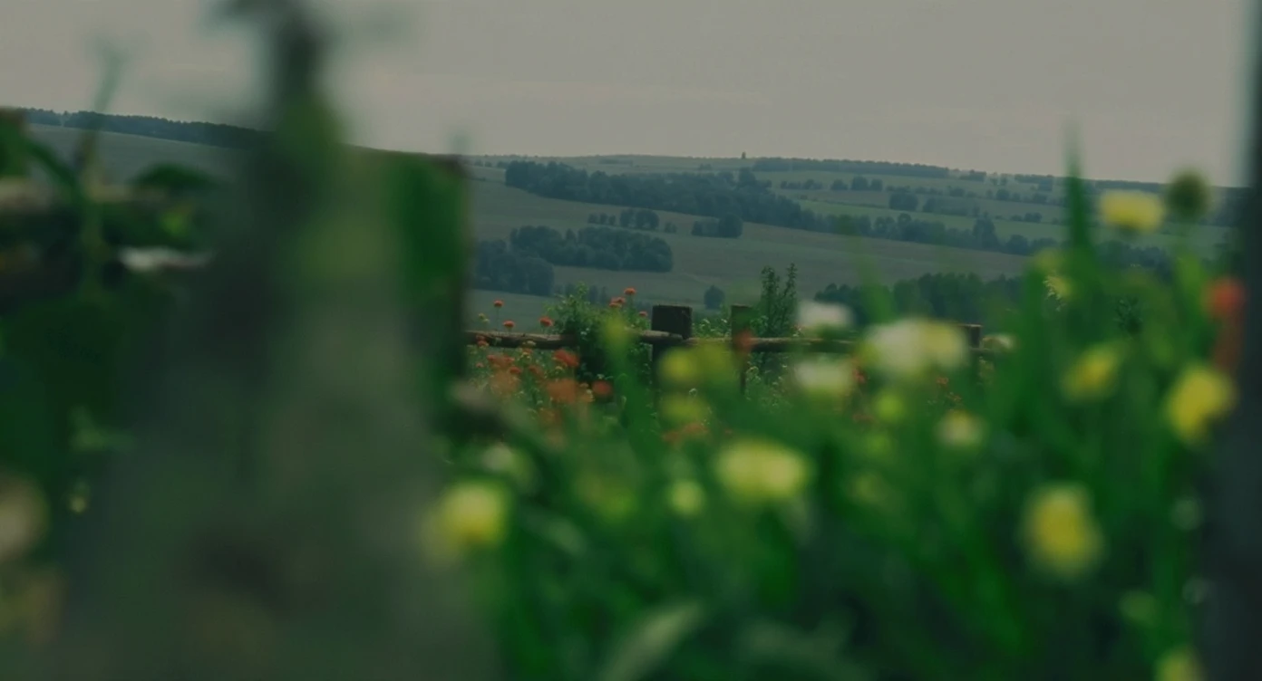 "Two shot" in the foreground, blurred plants in the foreground (frame within a frame), a wooden fence and colorfull flowers in the midground, Poland, rolling hills in the background, cinematic depth of field, layered composition, natural lighting emoji