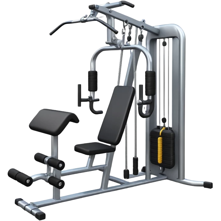 gym cable machine emoji