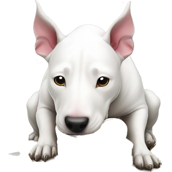 White bull terrier burying money  emoji