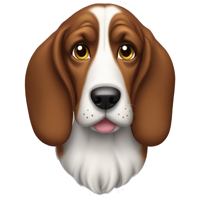 Bassett hound  emoji