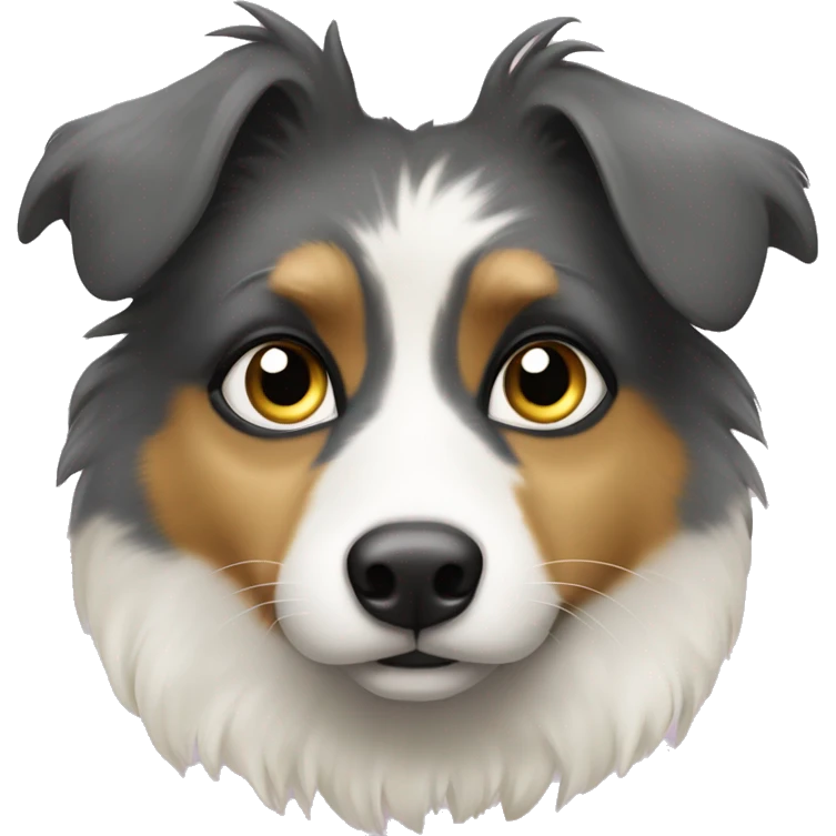 Berger australien yeux bleus  emoji