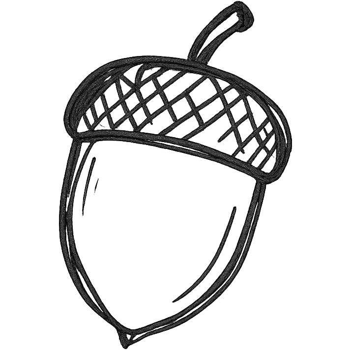 acorn, hand drawn black outline style emoji