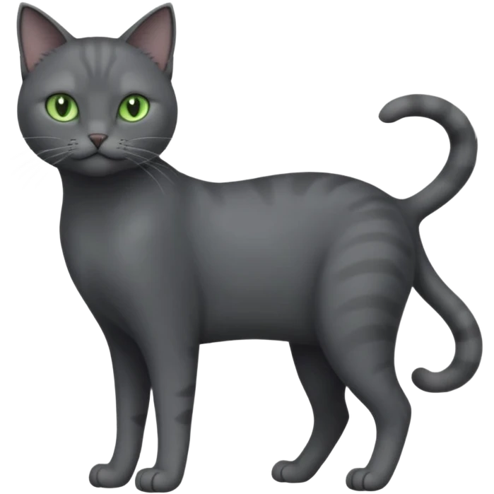 full body view of beautiful female solid dark grey cat with green eyes, grey face, white toes/paws and white patch on her chest emoji