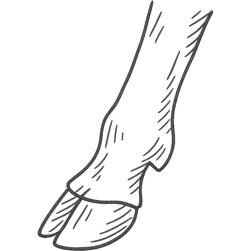 hand-drawn outlined deer ankle emoji
