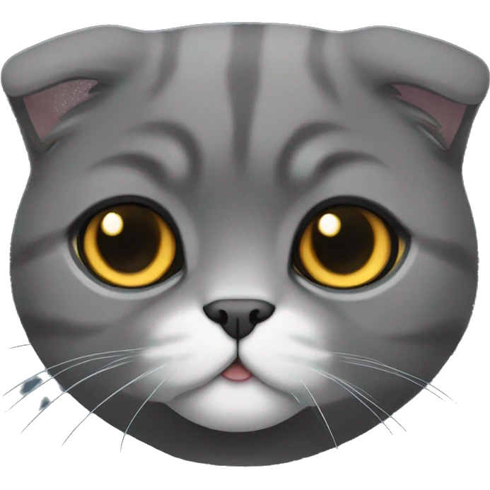 dark grey scottish fold cat emoji