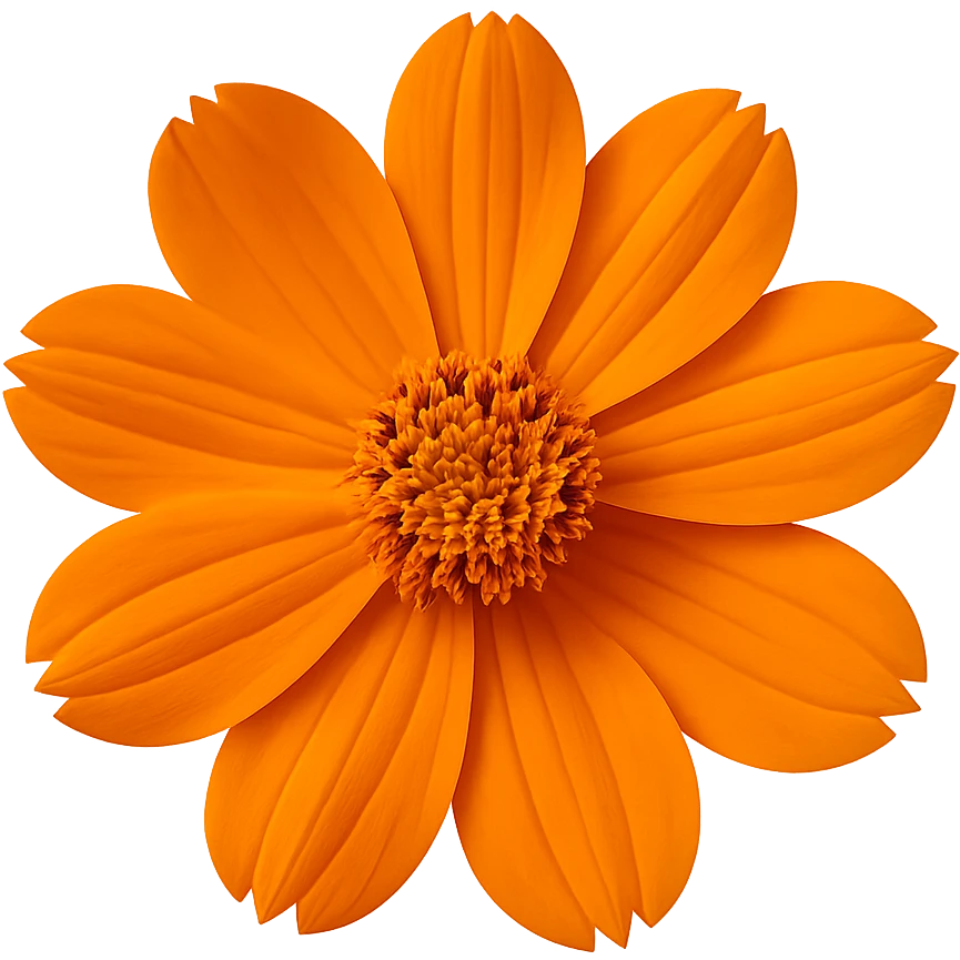 Remove the background, keep only the blooming flower in the image, transparent background. emoji